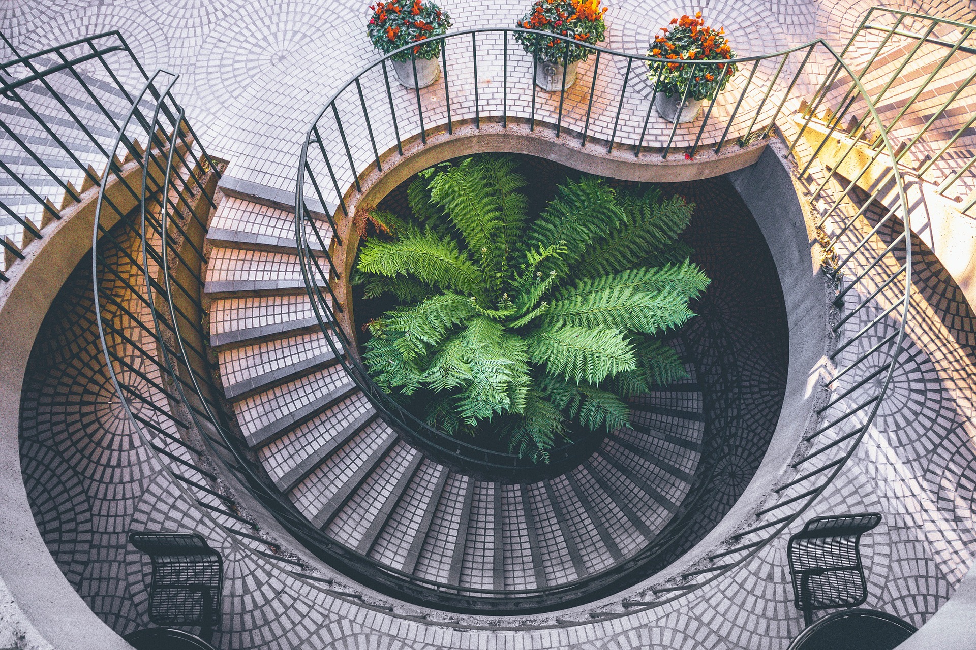 Proyecto Lorem ipsum
